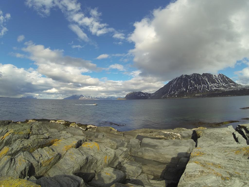 Lyngen Fjordcamp Villa Nord-Lenangen Exteriör bild