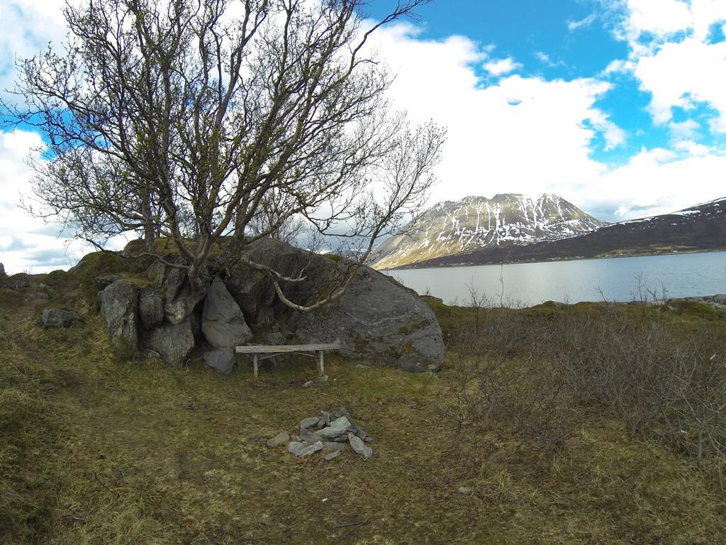 Lyngen Fjordcamp Villa Nord-Lenangen Exteriör bild