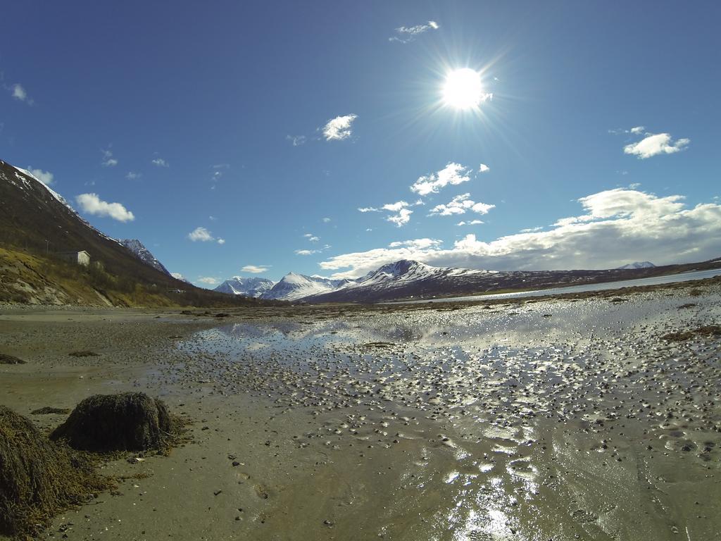 Lyngen Fjordcamp Villa Nord-Lenangen Exteriör bild