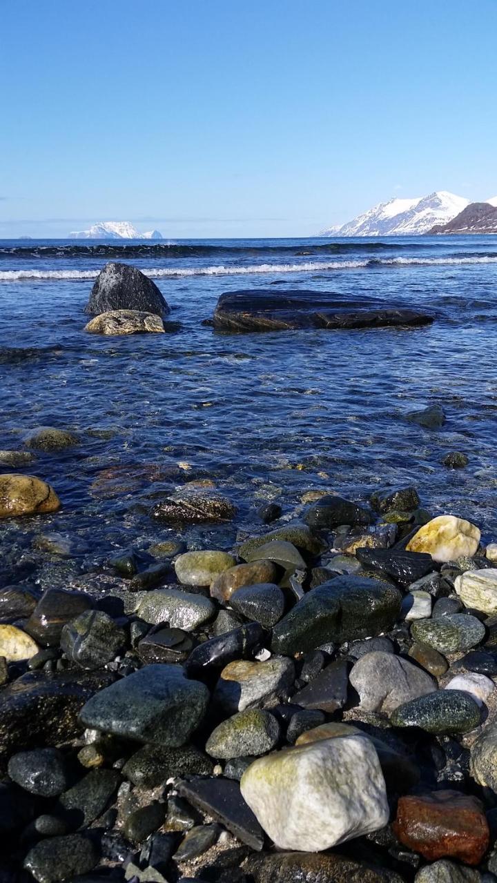 Lyngen Fjordcamp Villa Nord-Lenangen Exteriör bild